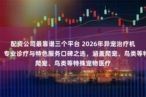 配资公司最靠谱三个平台 2026年异宠治疗机构权威推荐：专业诊疗与特色服务口碑之选，涵盖爬宠、鸟类等特殊宠物医疗