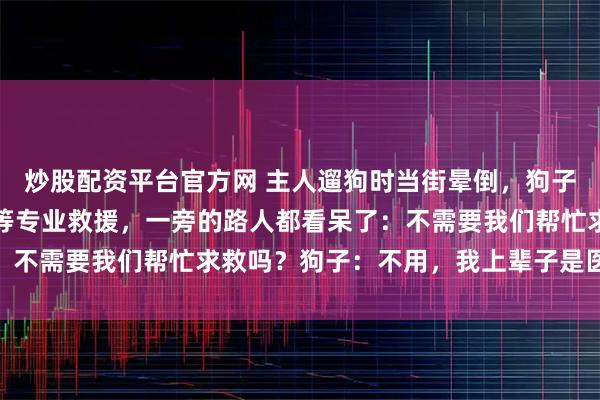 炒股配资平台官方网 主人遛狗时当街晕倒，狗子二话不说开始心跳复苏等专业救援，一旁的路人都看呆了：不需要我们帮忙求救吗？狗子：不用，我上辈子是医学生…